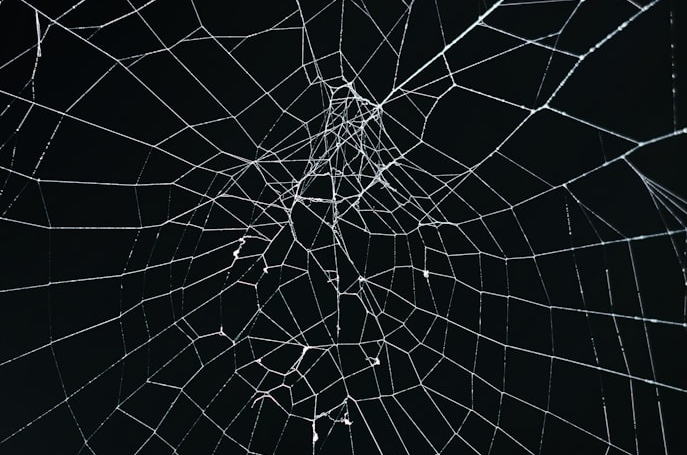 # OWASP Top 10: 2025 vs 2021 – What Changed and Why You Should Care